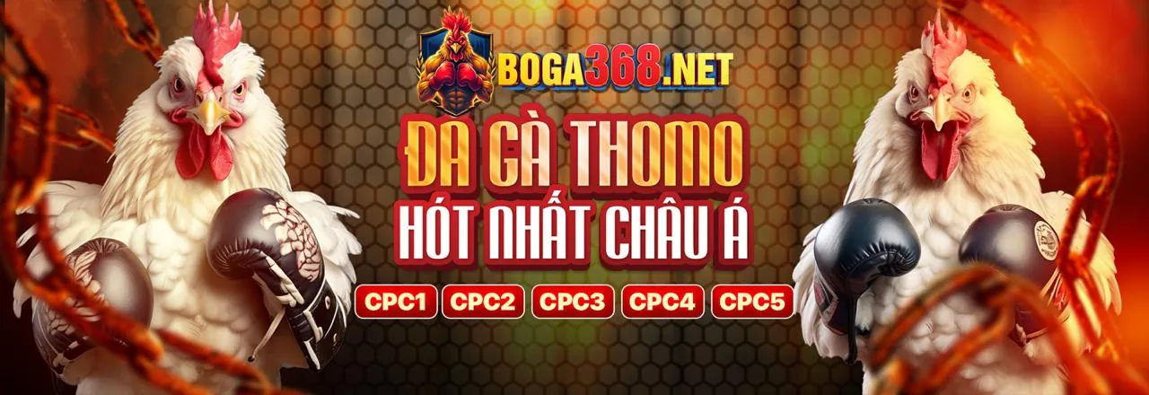 Hình ảnh minh họa cá cược có trách nhiệm tại choangclub liên kết mới, nhấn mạnh sự an toàn và kiểm soát