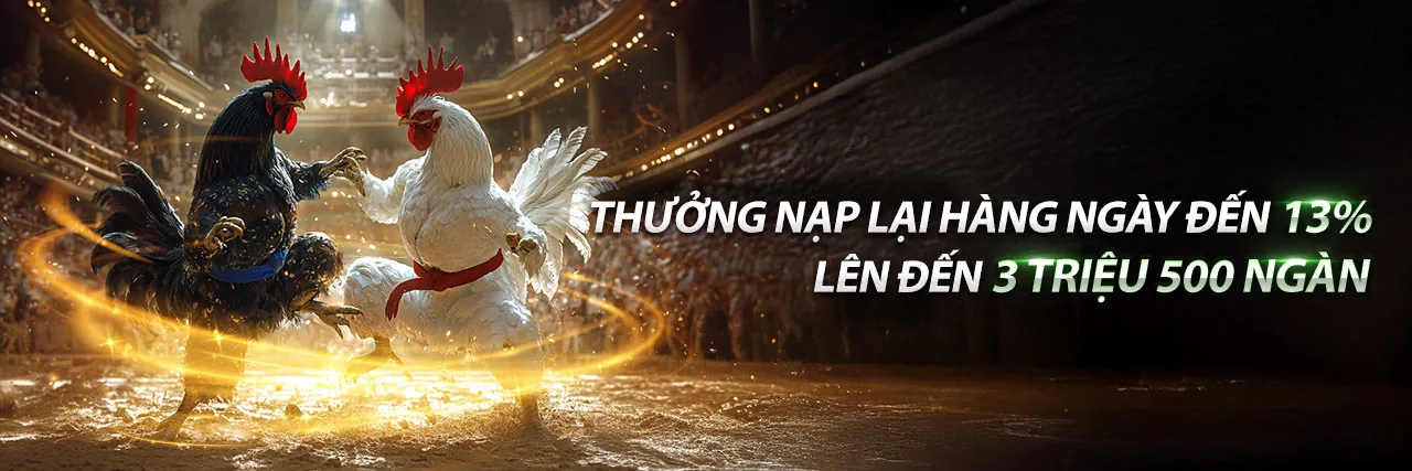 Hình ảnh đại diện cho Điều Khoản Dịch Vụ của choangclub link mới